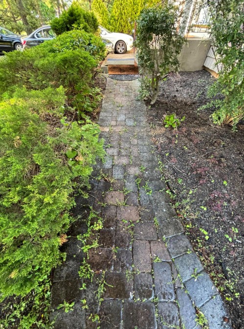 long beach island paver cleaning