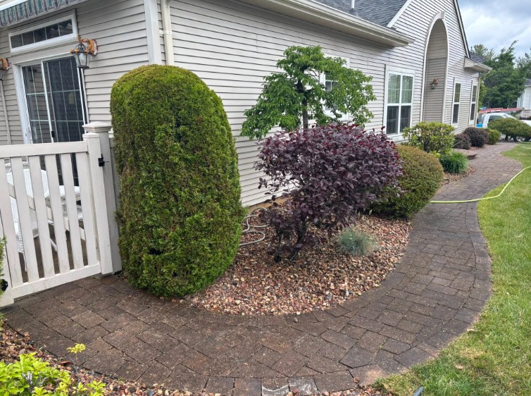 toms river paver cleaning