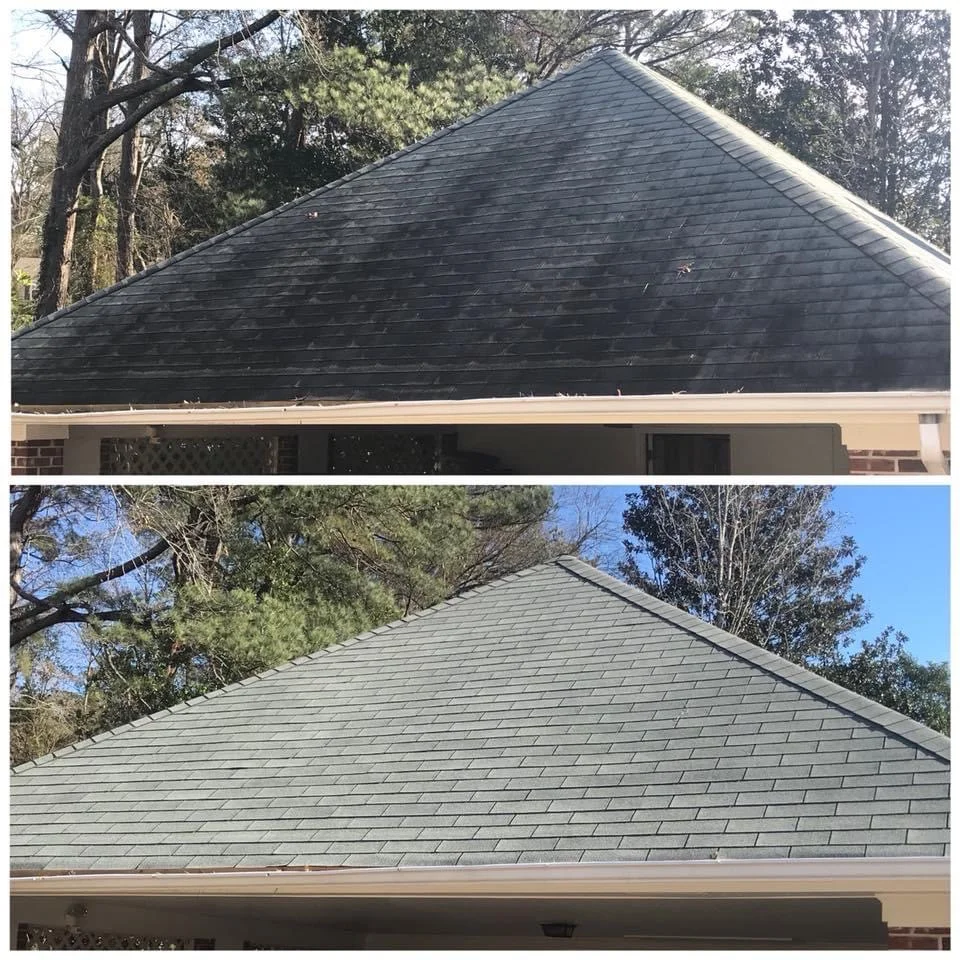 Close-up of roof soft washing removing black streaks and restoring shingles in Lacey Township NJ
