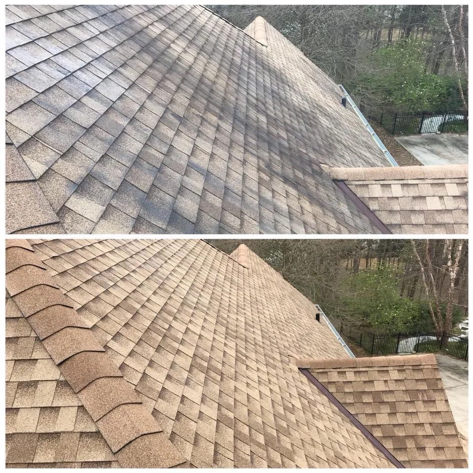 Close-up of roof soft washing before and after restoring shingle color in Manahawkin NJ