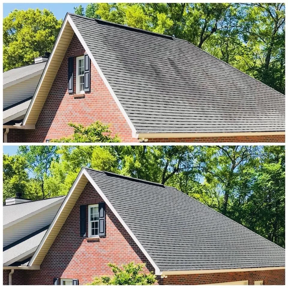 Close-up of roof soft washing restoring shingle color on brick home in Atlantic County NJ